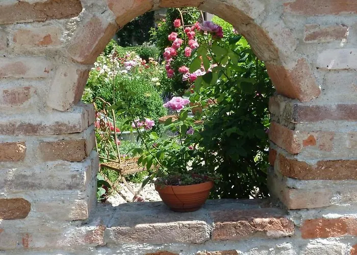 Degner Schönberg
